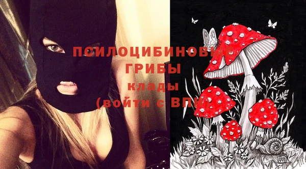 гидропоника Абинск
