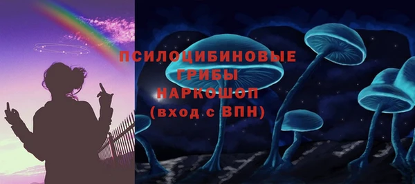 прущий лед Алзамай