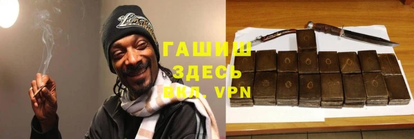 прущий лед Алзамай