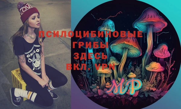 PSILOCYBIN Алексеевка