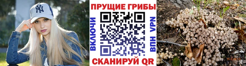 Псилоцибиновые грибы ЛСД  Лысьва 